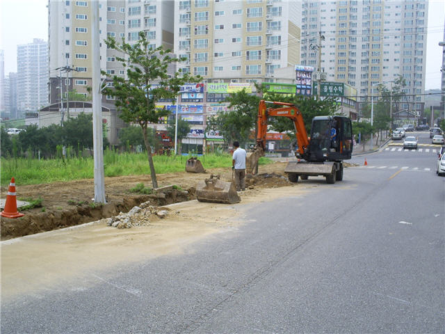 S5031691.jpg